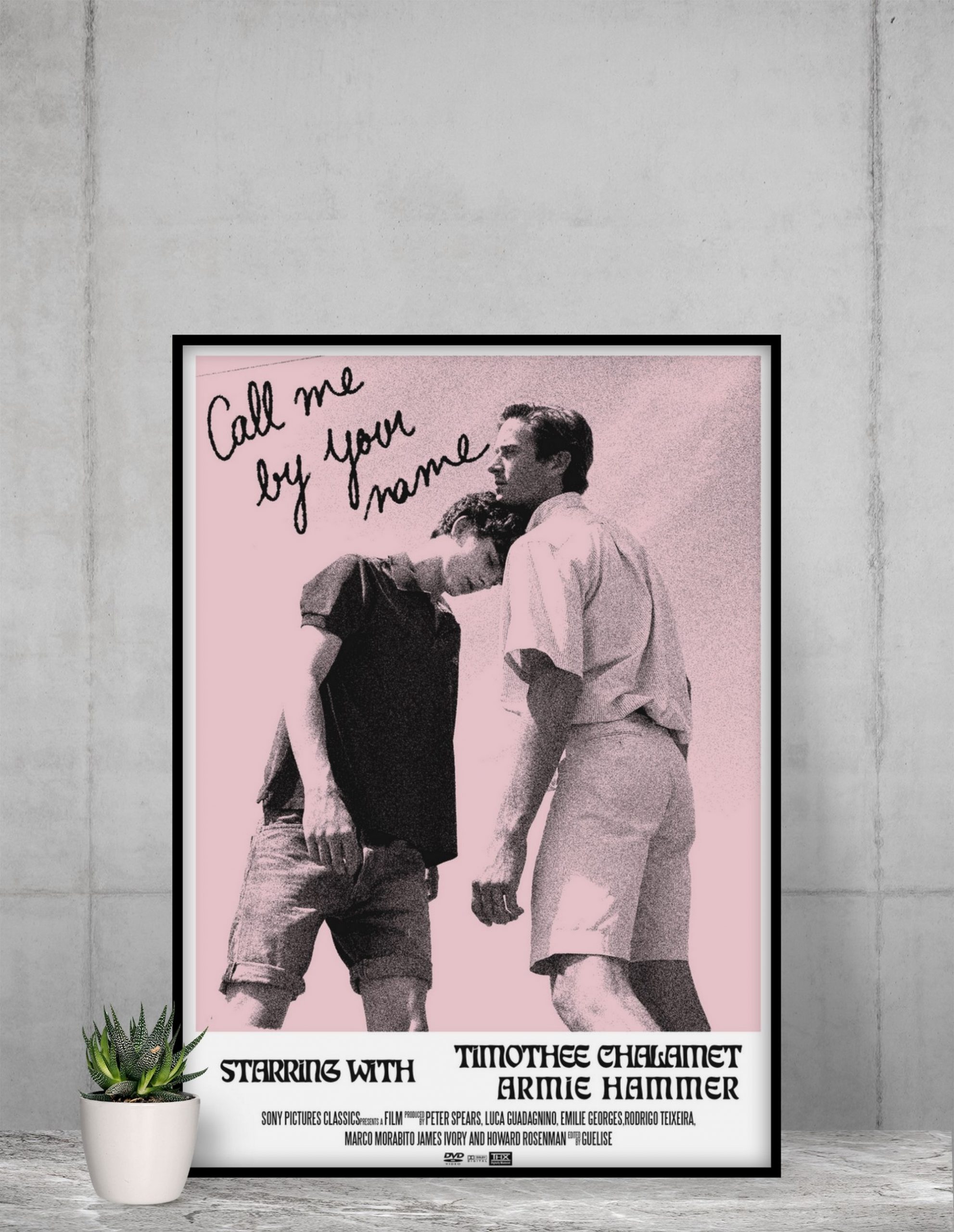 Call Me By Your Name Movie Luca Guadagnino Canvas Poster 12x18 24x36 inch 